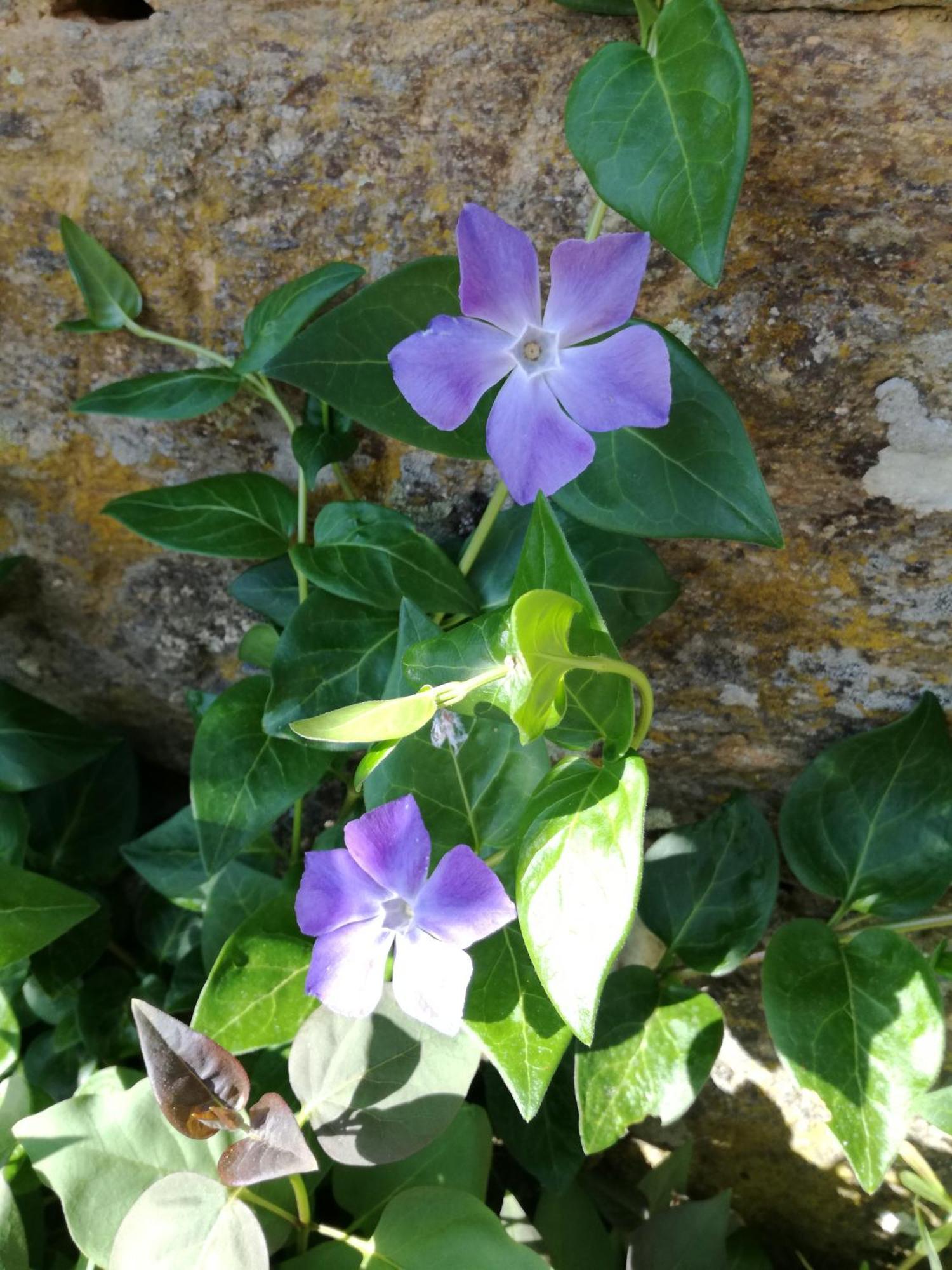 La Posada De Pedrazales 外观 照片